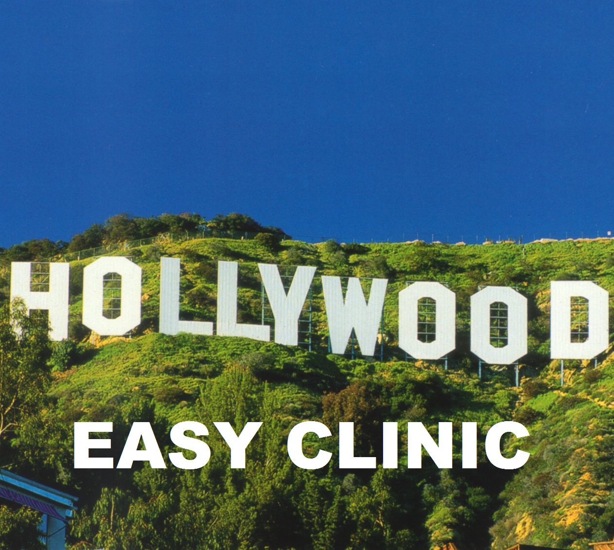 Medical Marijuana Card Doctor Hollywood Easy Clinic logo