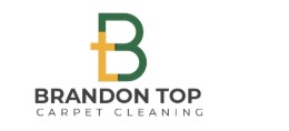 Brandon Top Carpet Cleaning logo