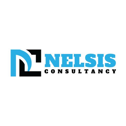 Nelsis Consultancy logo