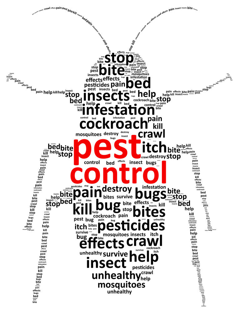 Bad 2 the Bugs Pest Control Service of Waco logo