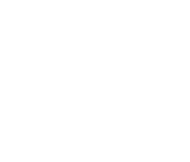 Zenith Home Garden Decor logo