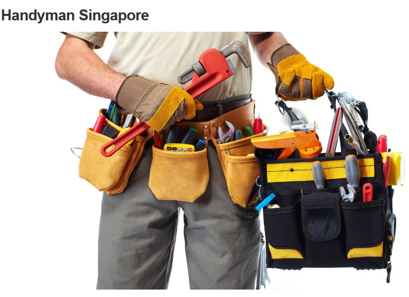 LS Handyman Singapore logo