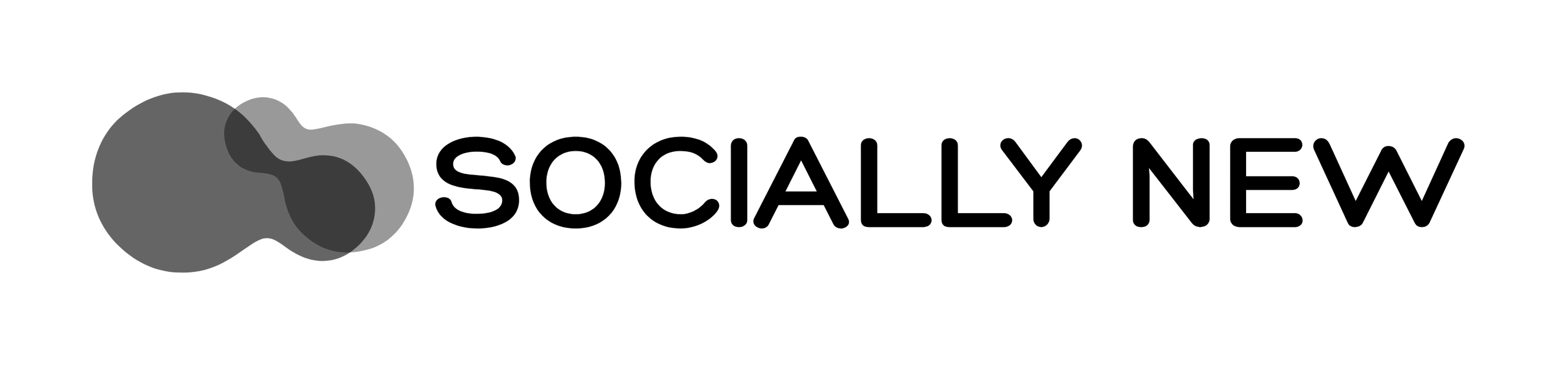 Socially New logo