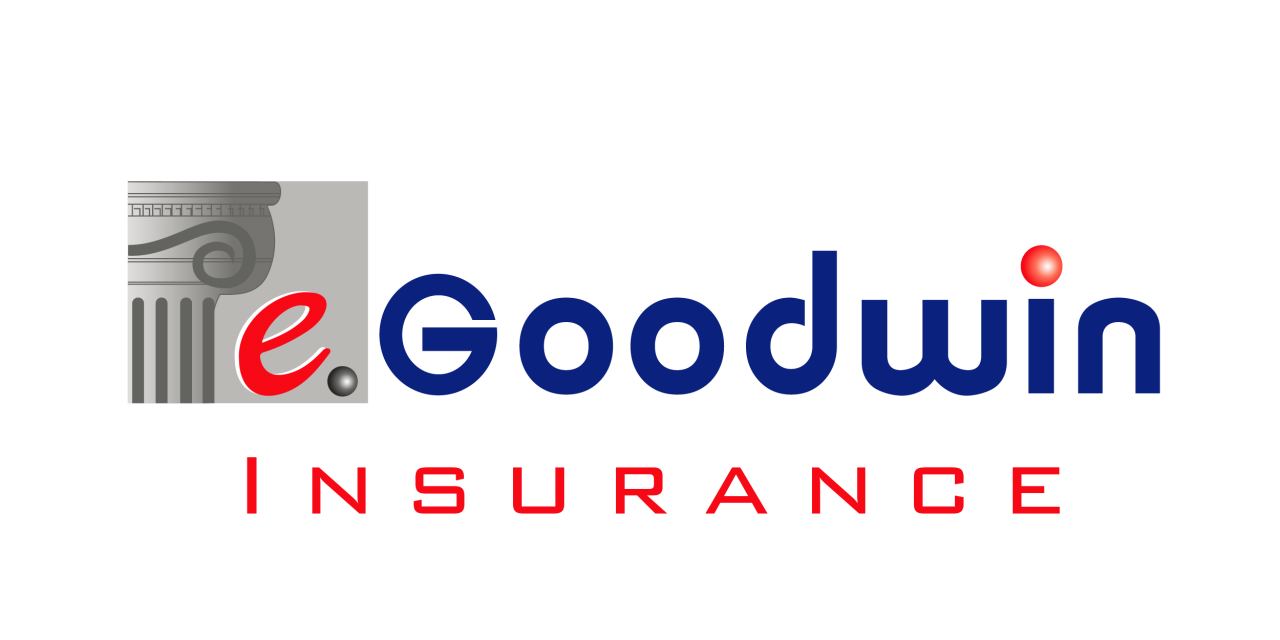 eGoodwin Insurance Agency logo