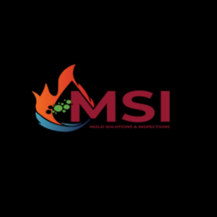 Mold Solutions & Inspections logo
