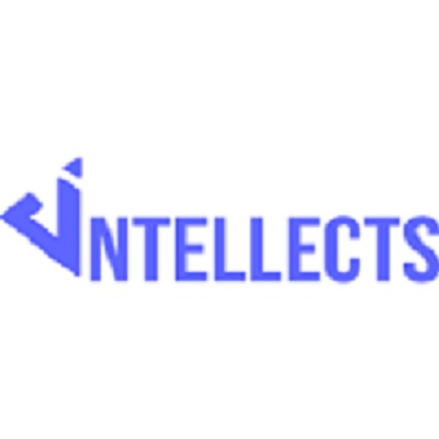 Dintellects Solutions Private Limited logo