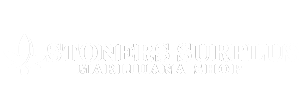 Stoners Surplus Shop logo