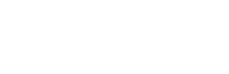 VIP Toronto Condos logo