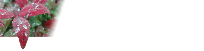 Evergreen Growers logo