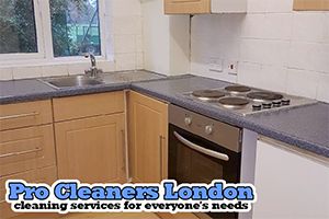 Pro Cleaners Brentford logo
