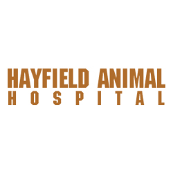 Hayfield Animal Hospital logo