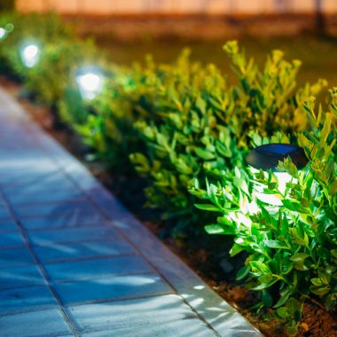 Lowcountry Greenscapes, LLC logo