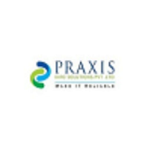 Praxis Info Solutions logo