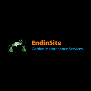 Endinsite logo